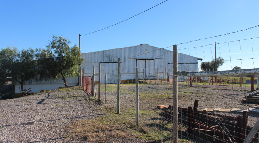 AGR1914 10 farm bldg