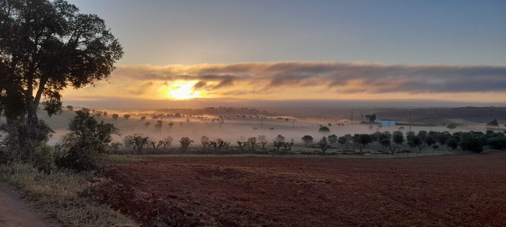 Alentejo in the early morning