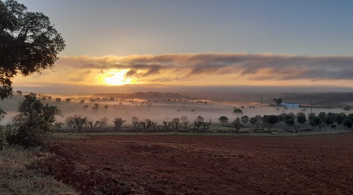 Alentejo in the early morning