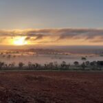 Alentejo in the early morning